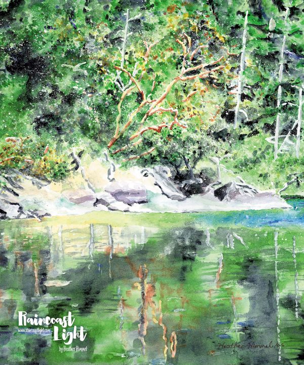 Watercolour painting of arbutues trees across a shimmering pond