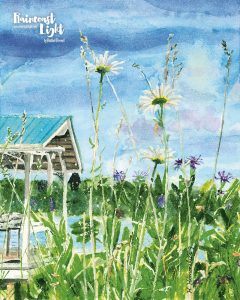 Watercolour painting of daisies with a dock in the background