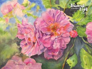 Roses on the Gazebo by Heather Himmel