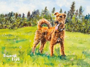 Watercolour painting of an Irish Terrier