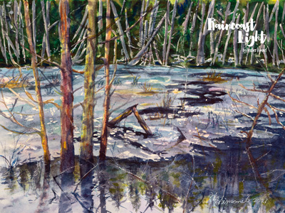 Watercolour painting of an ice covered marsh in Smugglers Cove, British Columbia