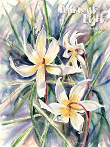 Watercolour painting of lilies by Heather Himmel